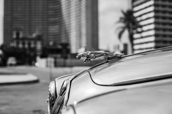 WagerWeb Kasino Android/iOS Aplikácia